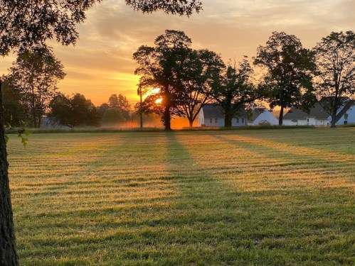 A serene sunrise over a grassy field, with trees casting long shadows and houses in the background.