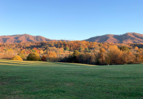 A scenic view of rolling green fields with vibrant autumn trees and mountains in the background under a clear blue sky.