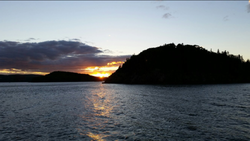 Sunset over a calm body of water, with silhouettes of trees on a distant island and colorful clouds in the sky.