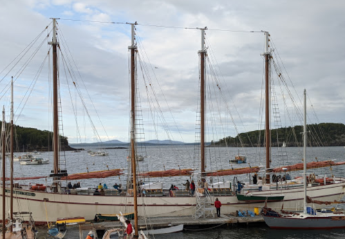 Sailboats docked in a harbor with a cloudy sky and distant hills in the background.