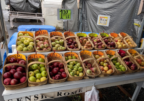 A display of various apples in baskets at a market, labeled with prices and types, set against a gray backdrop.