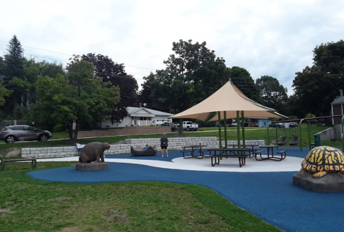 A playground featuring a large turtle sculpture, a bear statue, picnic tables, and a shaded area with trees in the background.