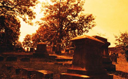A sunlit cemetery with gravestones and trees, bathed in an orange hue, creating a serene and reflective atmosphere.