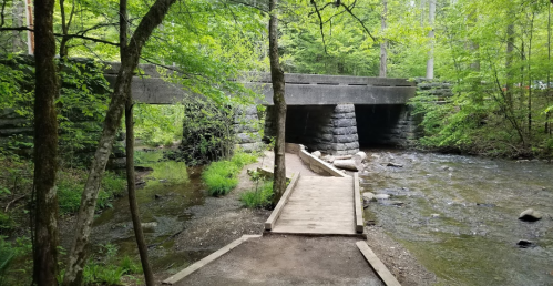 A stone bridge over a creek, surrounded by lush green trees and a pathway leading to the water's edge.