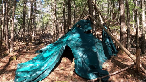 A makeshift shelter made of tarps and branches in a wooded area, surrounded by trees and forest floor.