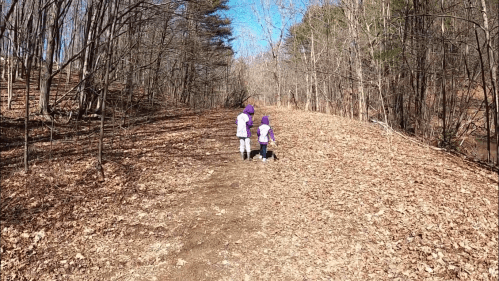 Two children in purple jackets walk along a leaf-covered trail in a wooded area on a sunny day.