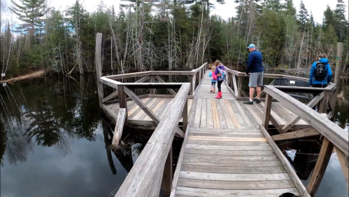 A wooden dock extends over a calm water body, with a man and a child walking, surrounded by trees.