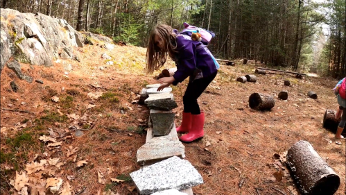 A child in a purple jacket and pink boots balances stones in a forested area with fallen leaves and logs around.