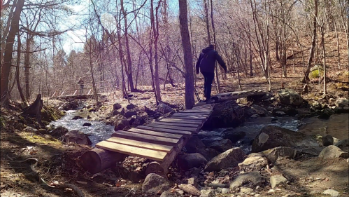 A person walks across a wooden bridge over a stream in a wooded area with bare trees.