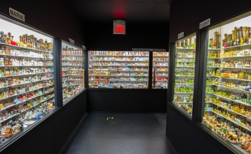 A display room filled with shelves of colorful miniature figurines and collectibles, organized by themes like marine and desert.