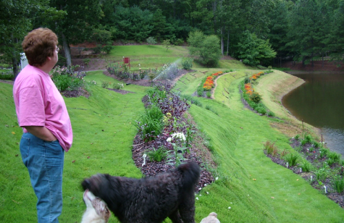 A person in a pink shirt stands by a garden with flowers and a pond, accompanied by two dogs.