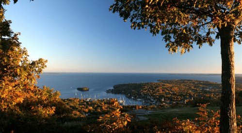 A scenic view of a lake surrounded by autumn foliage and a clear blue sky, with boats visible on the water.