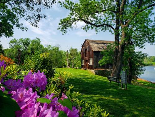 A rustic barn surrounded by vibrant flowers and lush greenery near a calm lake under a clear blue sky.
