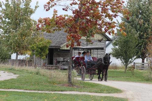 A horse-drawn carriage passes by a rustic building surrounded by colorful autumn trees.