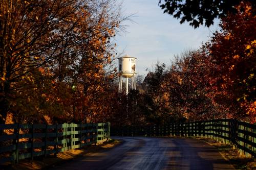 A winding road lined with trees in autumn colors, leading to a water tower in the distance.