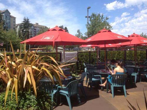 Outdoor dining area with red umbrellas, green plants, and blue chairs under a sunny sky.
