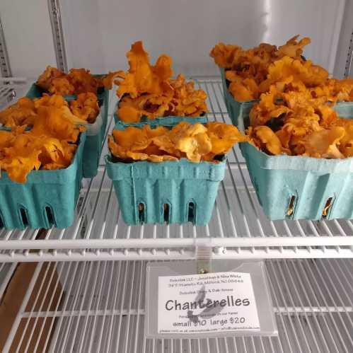 Baskets of vibrant orange chanterelle mushrooms displayed on a shelf with a price sign.