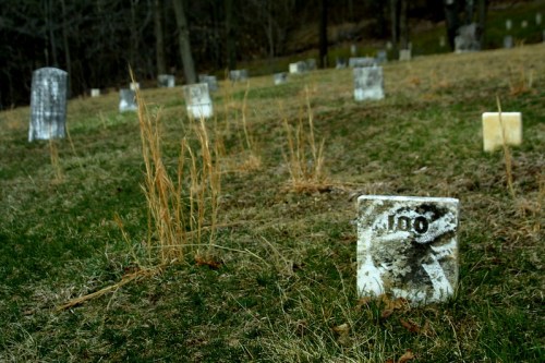 A grassy cemetery with weathered gravestones scattered throughout, some partially obscured by tall grass.