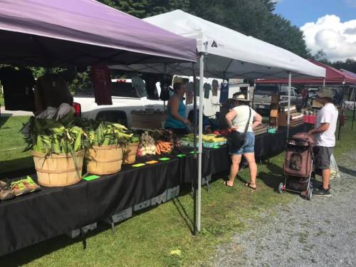 A farmer's market scene with vendors under tents selling fresh produce, while customers browse and shop.