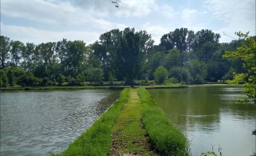 A serene landscape featuring a grassy path between two calm bodies of water, surrounded by lush trees under a cloudy sky.