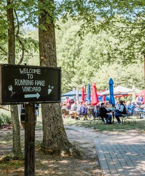 Sign welcoming visitors to Running Hare Vineyard, with colorful umbrellas and people enjoying the outdoor space in the background.