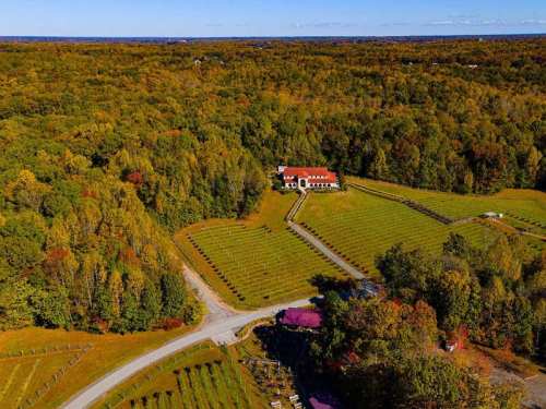 Aerial view of a vineyard surrounded by colorful autumn trees and a large house in the center.