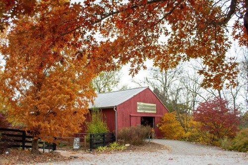 A red barn surrounded by vibrant autumn foliage and a gravel path leading to it.