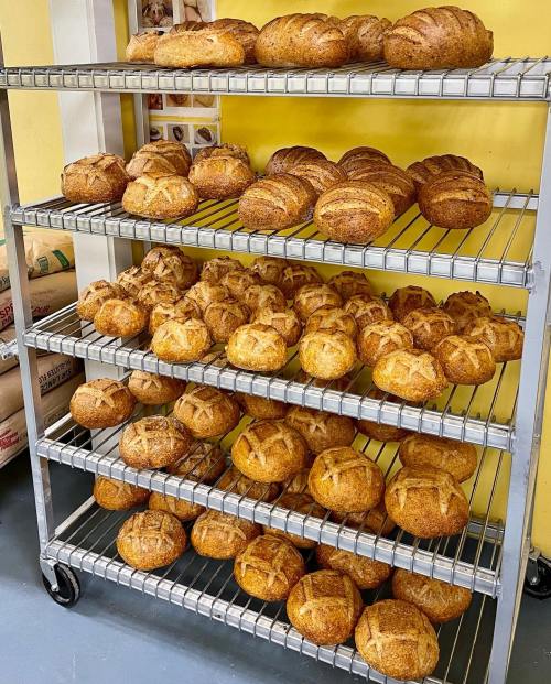 A metal rack filled with various freshly baked round and oval loaves of bread, set against a yellow wall.