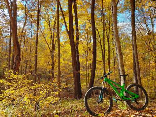 A green mountain bike rests against a tree in a vibrant autumn forest filled with yellow and orange leaves.