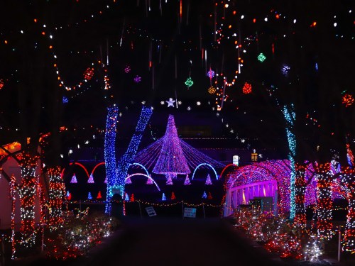 A vibrant display of colorful holiday lights illuminating trees and structures in a festive nighttime setting.