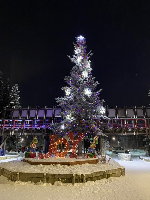 A beautifully lit Christmas tree with colorful lights and a "JOY" sign, surrounded by snow at night.