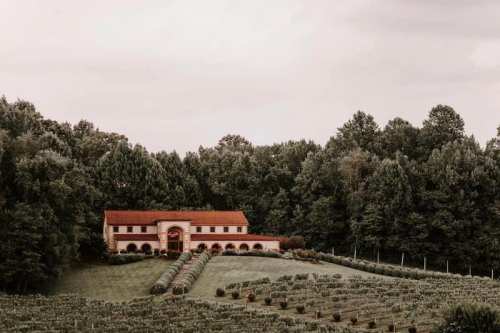 A charming house with a red roof surrounded by lush greenery and a vineyard under a cloudy sky.