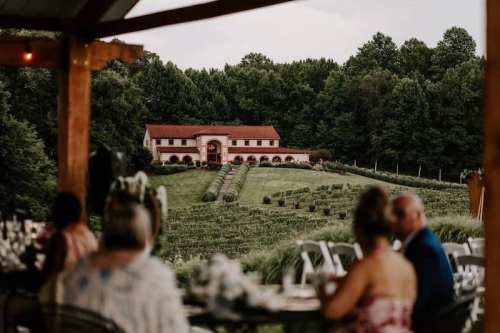 A scenic view of a vineyard estate surrounded by trees, with guests dining in the foreground.