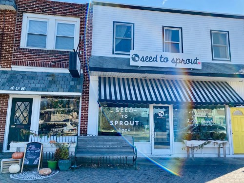 A storefront with a sign reading "Seed to Sprout," featuring a striped awning and pumpkins outside.
