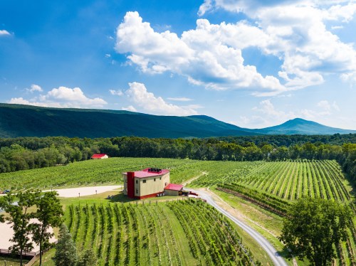 Aerial view of a vineyard with rolling hills, a modern building, and a blue sky with fluffy clouds.