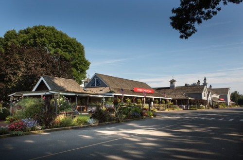 A charming building with a sloped roof, surrounded by greenery and flowers, under a clear blue sky.
