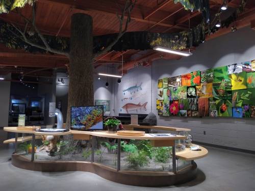 Interior of a nature exhibit featuring a large tree, interactive displays, and colorful nature-themed wall art.