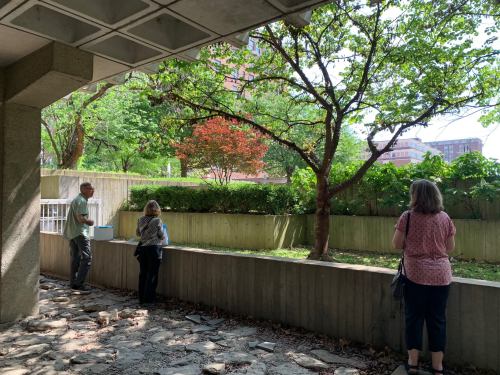 Three people stand by a low wall, observing a garden with trees and greenery in a sunny outdoor setting.