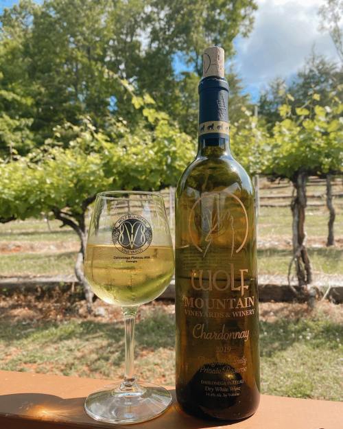 A bottle of Wolf Mountain Chardonnay next to a glass of wine, set against a vineyard backdrop.