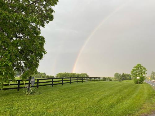 A vibrant rainbow arcs over a green landscape with a wooden fence and trees after a rainstorm.