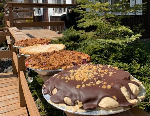 A wooden deck displays four delicious pies in front of a rustic building with a "Fresh Pies" sign and greenery.