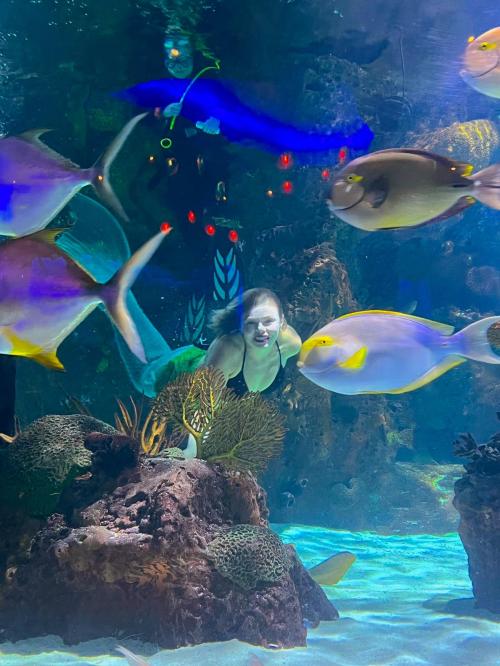A person swims among colorful fish in a vibrant aquarium filled with coral and underwater plants.