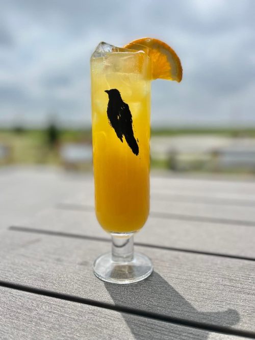 A tall glass of orange cocktail with ice and an orange slice, featuring a black bird silhouette on the side.