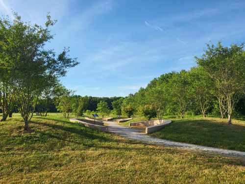 A serene park scene with a winding path surrounded by trees and green grass under a clear blue sky.