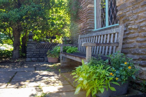 A wooden bench surrounded by greenery and potted plants, set against a stone wall in a sunny garden.