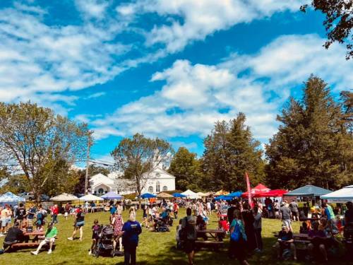 A lively outdoor event with crowds, tents, and trees under a blue sky with clouds. Families and friends gather on the grass.
