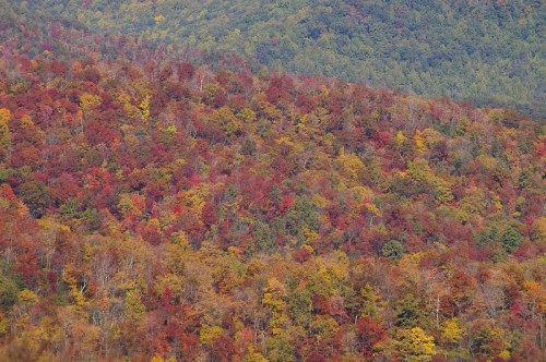 Vibrant autumn foliage covers rolling hills, showcasing a mix of red, orange, and yellow leaves against green trees.