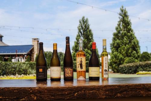 A selection of six wine bottles displayed on a wooden surface, with greenery and a blue sky in the background.