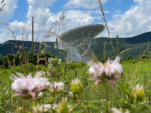 A large satellite dish stands in a green field, surrounded by wildflowers and mountains under a blue sky with clouds.