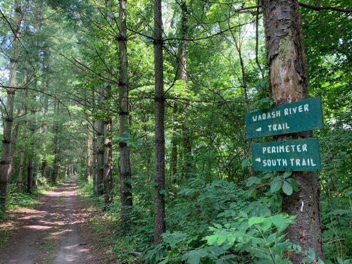 A wooded path with a signpost indicating "Wabash River Trail" and "Perimeter South Trail" amidst lush greenery.